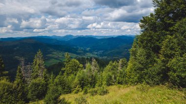 Dağ ve ormanla dolu güzel bir manzara.
