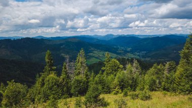 Yazın Karpatlar. Ukrayna, Avrupa.