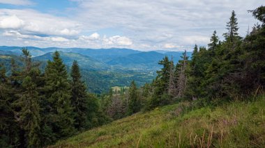 Carpathukraine 'deki güzel dağ manzarası.