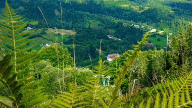 Madeira, Portekiz 'deki dağların manzarası