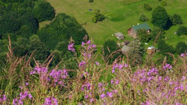 Karpatların yaz manzarası, Ukrayna. Karpatlar ülkenin önemli bir yeridir..