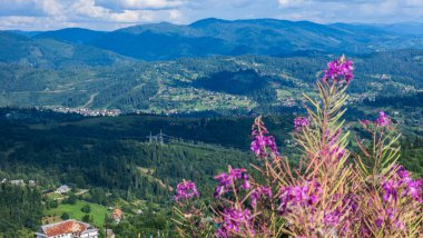 Karpatların köyünün manzarası