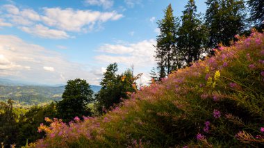 Güneşli sabah dağlardan güzel bir manzara.