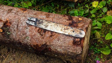 Ormanda odun kesiyorum.