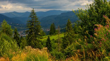 Yazın dağlarda güzel bir dağ manzarası