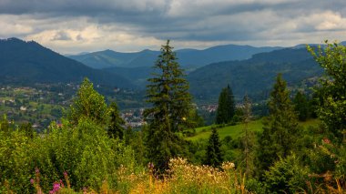 Dağlarda dağları olan güzel bir manzara.