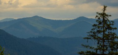 Yazın Karpat Dağları