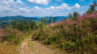 Karpatlar güzel manzara