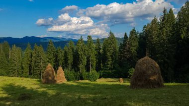 Yeşil çayır üzerindeki saman yığınları