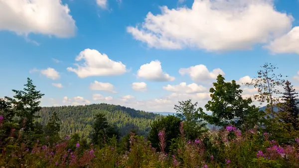 Dağ manzarası, güzel dağ manzarası