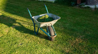 Çimenli el arabası