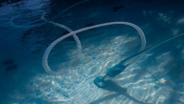 Dalış. Dalış. sualtı görünümü