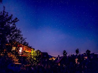 Yıldızlar ve ağaçlarla dolu gece göğü