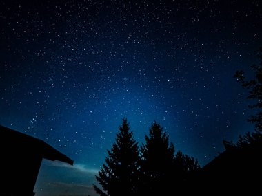 Samanyolu gece gökyüzünde yıldızlar ve ağaçlarla