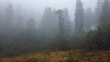 Sabahları dağlı güzel bir manzara..