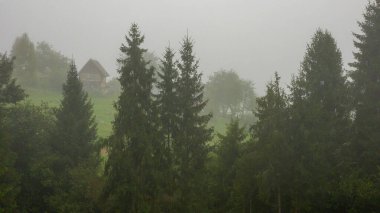 Karpat Dağları sisli bir sabah