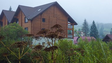 Güzel manzara. doğa arkaplanı