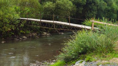 Ormanda ahşap bir köprü. yüksek kaliteli fotoğraf