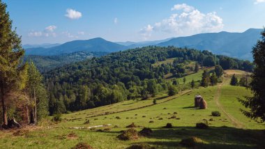 Ukraynalı Karpatlar 'ın yaz mevsimi manzarası