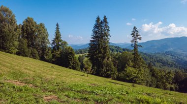 Yazın Karpatlar 'ın güzel manzarası. manzara