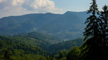 Yazın karpatların güzel dağları