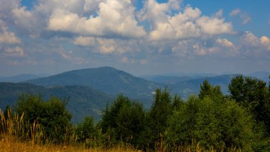 Karpat dağlarında yeşil çimenli dağ sıraları.
