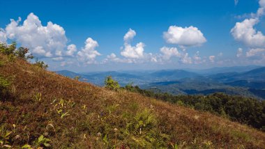 Karpat Dağları'nın güzel manzara