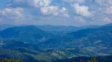 beautiful view of mountains in the forest