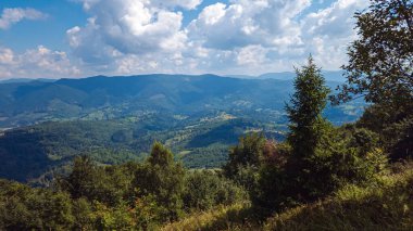 Ormandaki dağların güzel manzarası