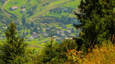Yaz manzara Karpat Dağları, Ukrayna