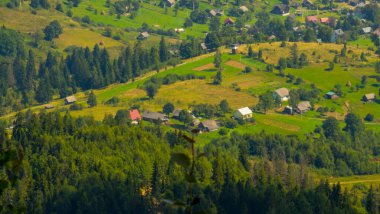 Yeşil bir vadide havadan çekim