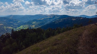 Yeşil tepeleri ve ormanı olan güzel yaz manzarası.