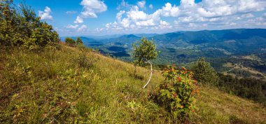Karpat Dağları, Ukrayna 'nın güzel manzarası