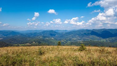 Karpatlar 'daki dağların manzarası, Ukrayna, yazları Avrupa. Yeşil çimenli, mavi gökyüzü bulutlu, güneşli güzel bir manzara.