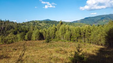Sabah Ukrayna 'nın güzel Karpat Dağları manzarası.