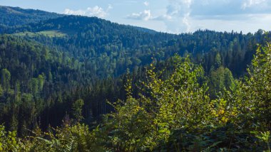 Dağlarda sonbahar. Karpat Dağları