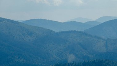 Karpatlar. Dağlarda güzel doğa.