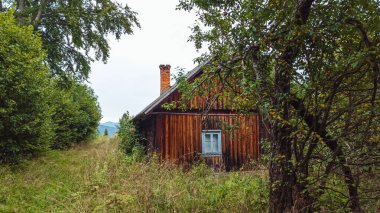 Ormanda terk edilmiş eski bir ev.