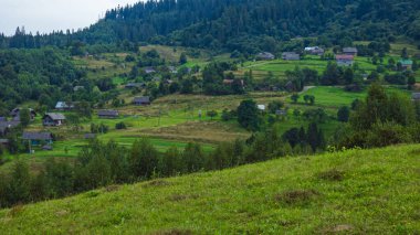 Kartaca dağlarının yaz günündeki güzel manzarası. Ukrayna, Avrupa