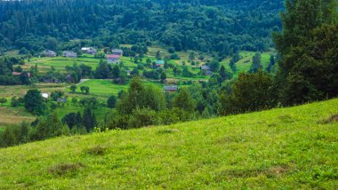 Yaz dağı manzarası, yeşil orman.