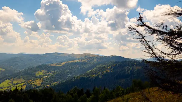 Yaz mevsimi dağ sıralarında
