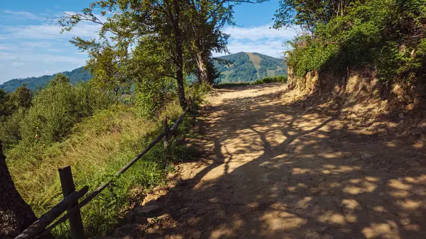 Dağlarda yürüyüş yolu