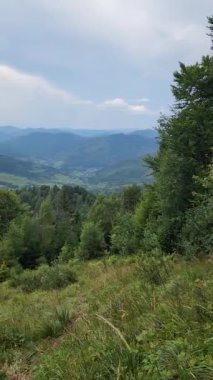 Dağın tepesinden manzara.