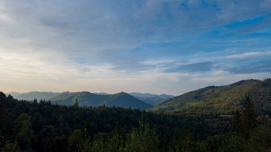 Akşamları renkli ağaçlarla kaplı dağ ormanı manzarası.