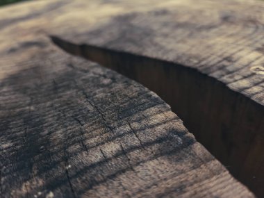 Ahşap dokusunu kapat.