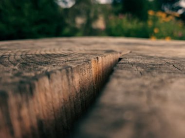 Parktaki eski ahşap masa.