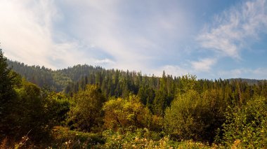 Dağlardaki dağ manzarası