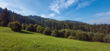 Yeşil dağ manzarası bir yaz günü