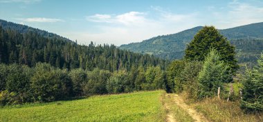 Sabah yeşil orman ve dağlar