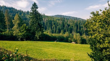 Ağacı ve sıradağları olan güzel bir manzara.